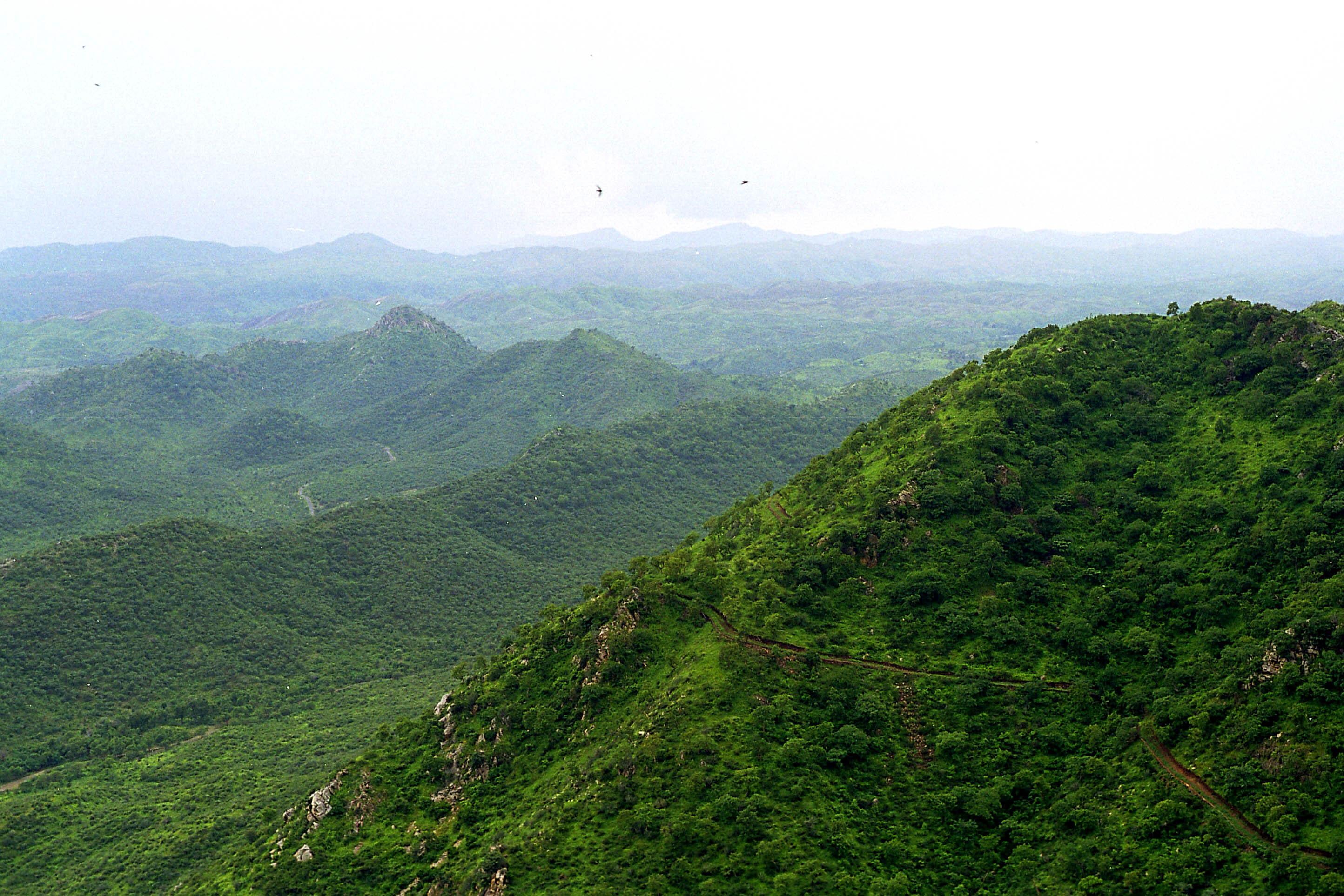 बेहतर पर्यावरण बेहतर कल