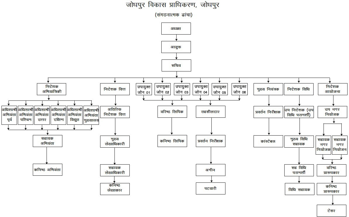 Organizational Structure