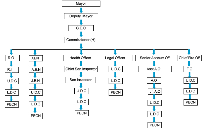 Organization Structure