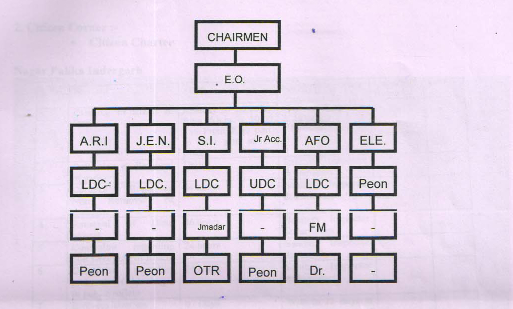 Organizational Chart